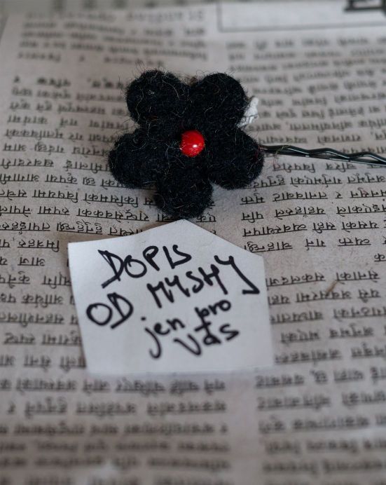 Pírko do vlasů Květ s perlou + Dopis od Myshi – černé s červenou perlou